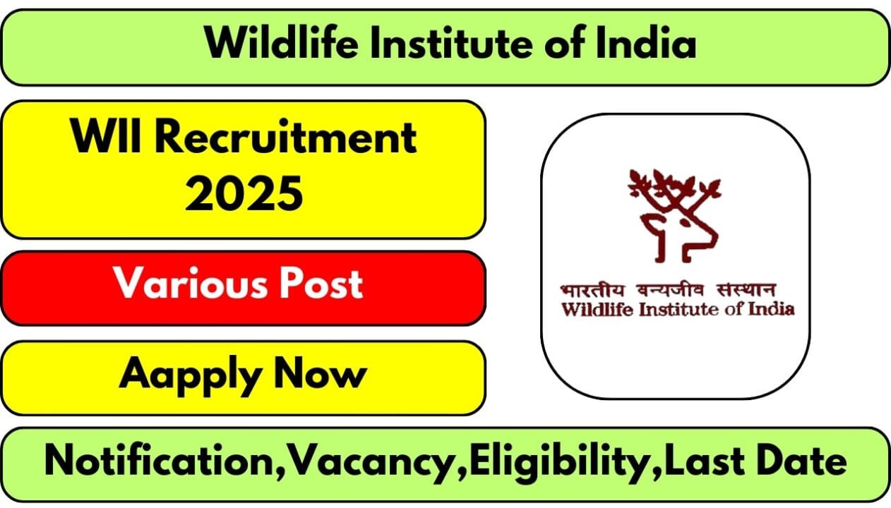 WII Recruitment 2025: Apply for Administrative Assistant & Other Posts 2 WII Recruitment 2025
